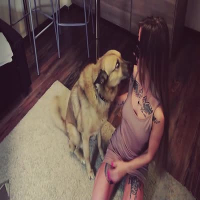 Sonya Full Face No Mask Dogs